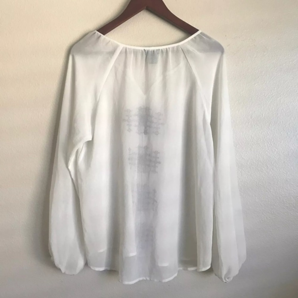 Sheer Blouse - Picture 4 of 4